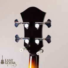 Rozeo Ladybug-Bass SM Fret Less/VS_6