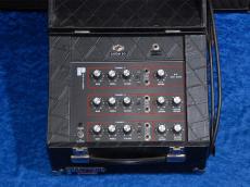 POLYTONE PA Mini Brute_2