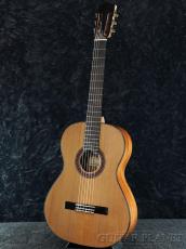 Martinez MC-48C《国内入荷は一本のみ!!》【オンラインストア限定】_3