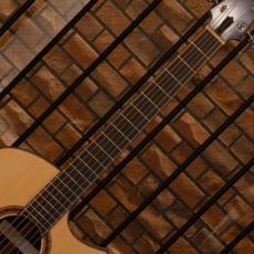 Fujii Guitars OM-cw Caucasian Spruce / Macassar Ebony_7