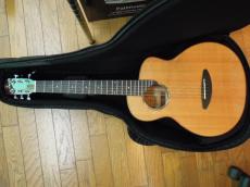 aNueNue Bird M52