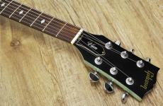 Gibson Les Paul Vixen_4
