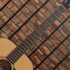 Collings D1AHC Hill Country_7