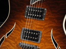 Taylor T3 ~Tobacco Sunburst~_5
