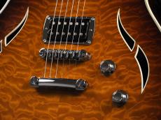 Taylor T3 ~Tobacco Sunburst~_6