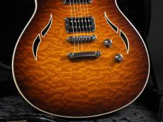 Taylor T3 ~Tobacco Sunburst~_7