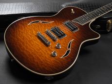 Taylor T3 ~Tobacco Sunburst~_8