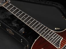 Taylor T3 ~Tobacco Sunburst~_9
