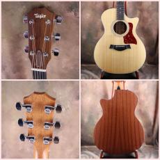 Taylor 2008年製 314ce ES-1_2
