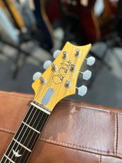 Paul Reed Smith [PRS] 【スキャロップド加工】SILVER SKY Mod ～Frost～ 【2018年製中古】【3.21kg】_9