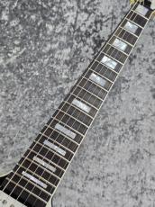 DEAN USA Michael Schenker 50th Anniversary 【音楽活動50周年記念モデル】_5