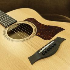 Taylor GTe Urban Ash 【生産完了品】_3