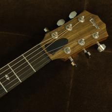 Taylor GTe Urban Ash 【生産完了品】_5