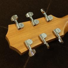 Taylor GTe Urban Ash 【生産完了品】_6