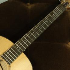 Taylor GTe Urban Ash 【生産完了品】_7