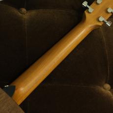 Taylor GTe Urban Ash 【生産完了品】_8