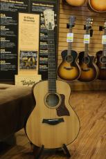 Taylor GTe Urban Ash 【生産完了品】_9