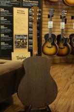 Taylor GTe Urban Ash 【生産完了品】_10