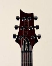 Paul Reed Smith [PRS] 【2010年製】Special 22 10 Top -Fire Red Burst-【3.31kg】【USED】_8