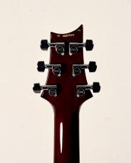 Paul Reed Smith [PRS] 【2010年製】Special 22 10 Top -Fire Red Burst-【3.31kg】【USED】_9