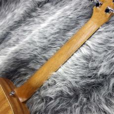 Taylor BT2e Baby Taylor-e Mahogany_8
