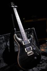 Paul Reed Smith [PRS] Custom24 Grey Black / 2011_10