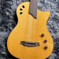 Cordoba Stage Guitar Traditional CD