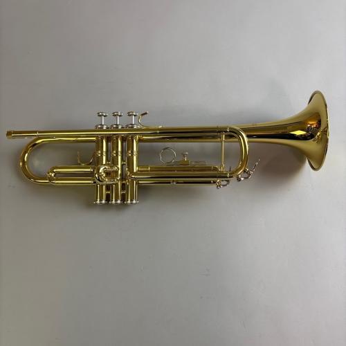 Bach TR600 【2026/6調整完了予定】
