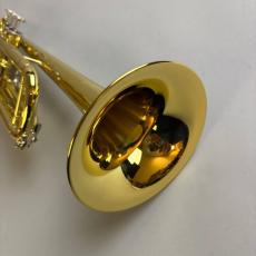 Bach TR600 【2026/6調整完了予定】_9