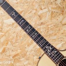 Taylor 914ce LTD 2024_6