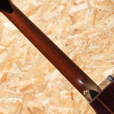 Taylor 914ce LTD 2024_7