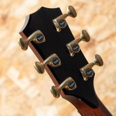 Taylor 914ce LTD 2024_9