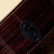 Taylor 914ce LTD 2024_10