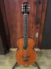 Gibson 1916 L-1