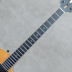 Victor Baker Guitars Model 14 Chambered Semi-Hollow High Gloss Natural / 2016_7