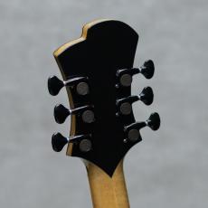 Victor Baker Guitars Model 14 Chambered Semi-Hollow High Gloss Natural / 2016_10