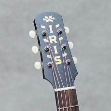 IRIS The OG Model Adirondack Spruce Natural_9