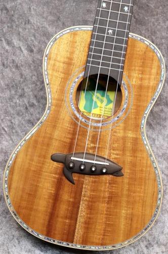 Big Island KX-CTG #240069【コンサート】【ハワイアンコア単板】【選定品】【池袋店在庫品】