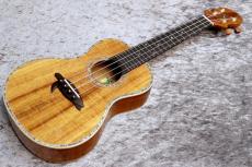 Big Island KX-CTG #240069【コンサート】【ハワイアンコア単板】【選定品】【池袋店在庫品】_2