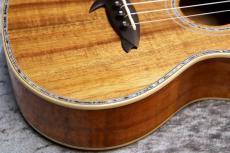 Big Island KX-CTG #240069【コンサート】【ハワイアンコア単板】【選定品】【池袋店在庫品】_4