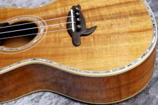 Big Island KX-CTG #240069【コンサート】【ハワイアンコア単板】【選定品】【池袋店在庫品】_5