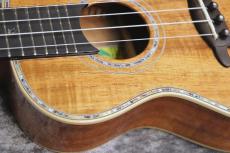 Big Island KX-CTG #240069【コンサート】【ハワイアンコア単板】【選定品】【池袋店在庫品】_6