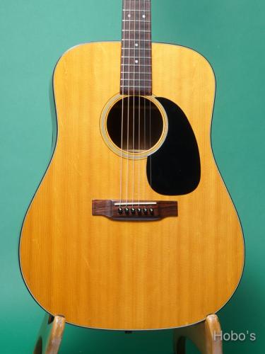 Martin D-21