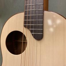 K.Yairi Nocturne SG_3