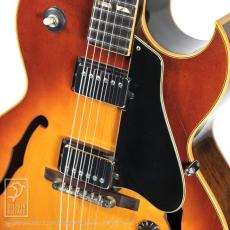 Gibson ES-175D_14