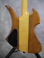 FERNANDES MG-160 MOD_2
