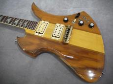 FERNANDES MG-160 MOD_5