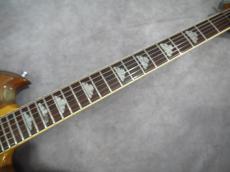 FERNANDES MG-160 MOD_10