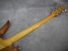 FERNANDES MG-160 MOD_11
