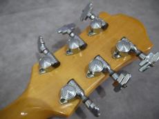 FERNANDES MG-160 MOD_14